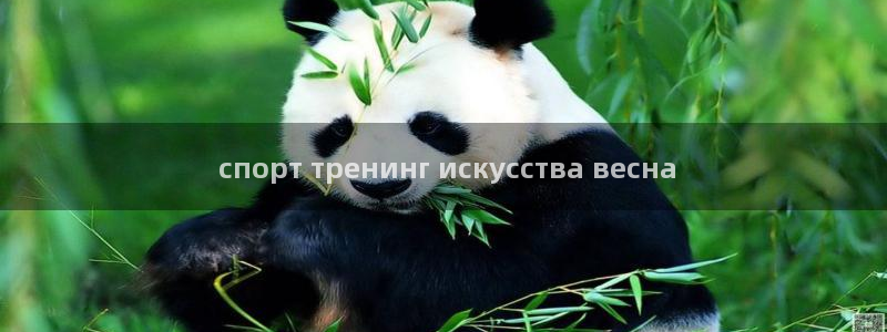 尊龙app注册官网： спорт тренинг и
