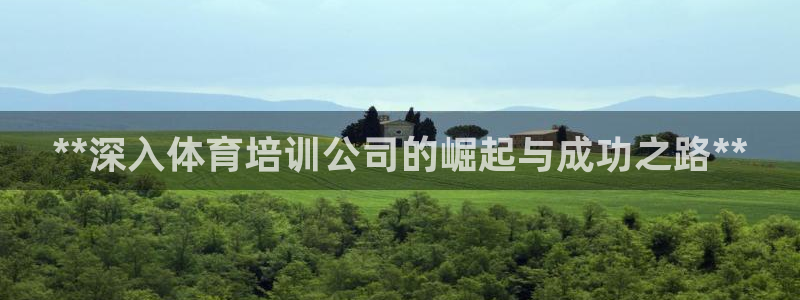 尊龙凯时有封银行卡的吗：**深入体育培训公司的崛起与