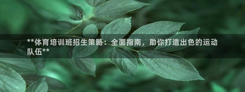 尊龙官网/首选kpm：**体育培训班招生策略：全面指