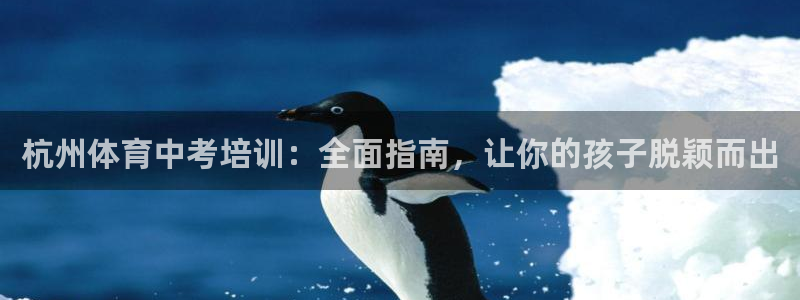 尊龙2021年最新消息：杭州体育中考培训：全面指南，