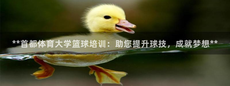 尊龙官网免费下载安装：**首都体育大学篮球培训：助您