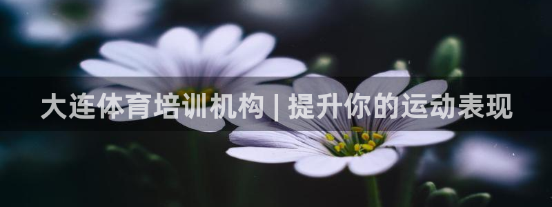 尊龙凯时网站是什么地方人开的：大连体育培训机构 | 