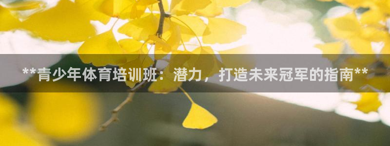 尊龙凯时 人生就是搏首页：**青少年体育培训班：潜力