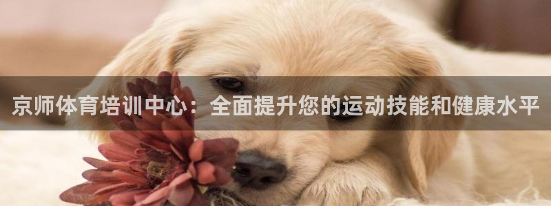 凯时国际平台有人赢吗：京师体育培训中心：全面提升您的