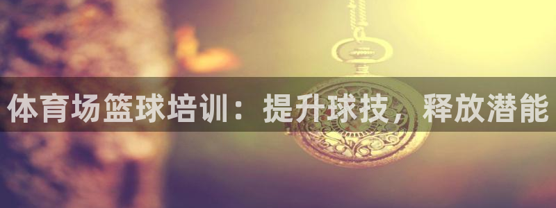 尊龙新版官网网页版：体育场篮球培训：提升球技，释放潜
