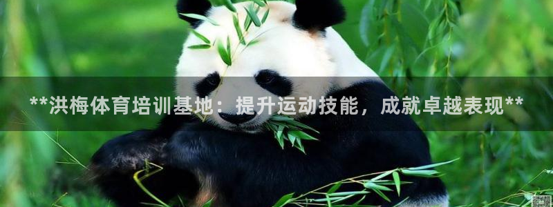 尊龙凯时官网平台：**洪梅体育培训基地：提升运动技能