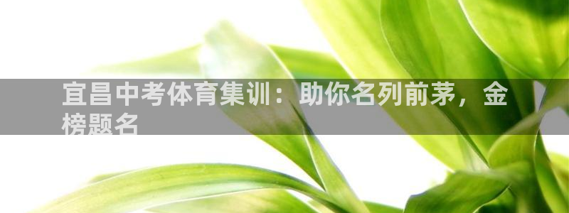 尊龙软件下载：宜昌中考体育集训：助你名列前茅，金
榜