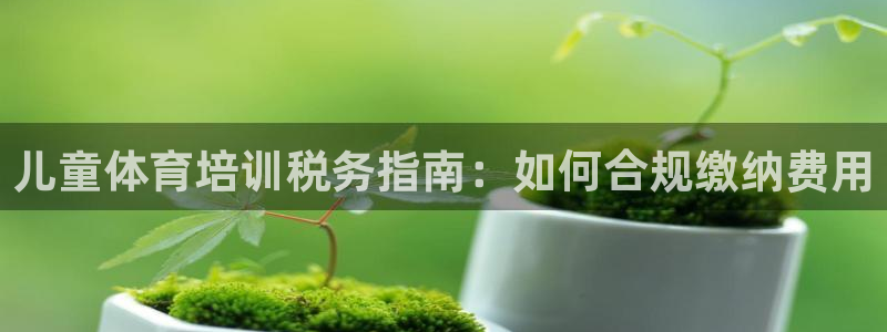 尊龙人生就是博官网登录手机：儿童体育培训税务指南：如