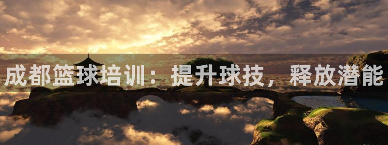 尊龙这个平台怎么样：成都篮球培训：提升球技，释放潜能