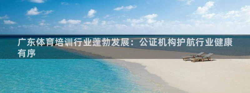 尊龙官网下载：广东体育培训行业蓬勃发展：公证机构护航