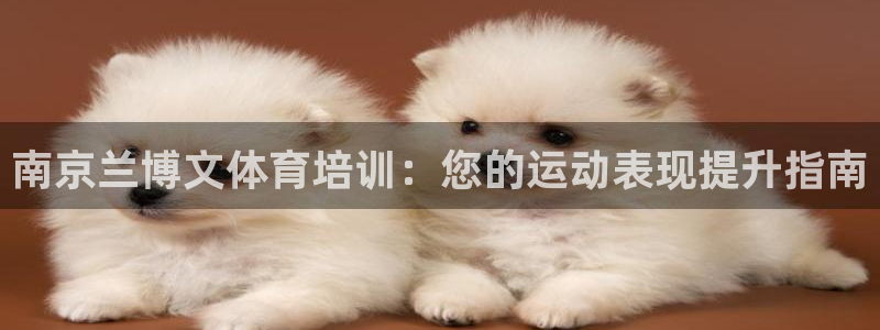 尊龙凯时存款多久到账：南京兰博文体育培训：您的运动表