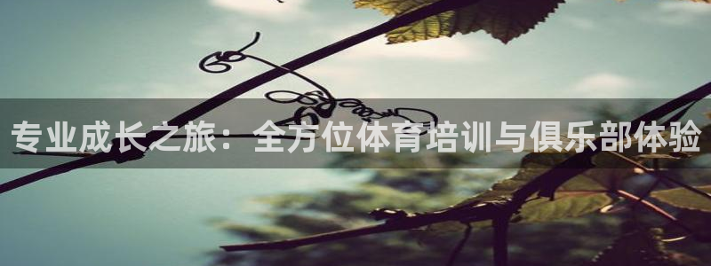 尊龙凯时防屏蔽网址