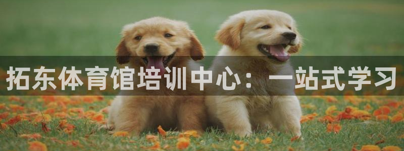 尊龙AG旗舰厅app下载