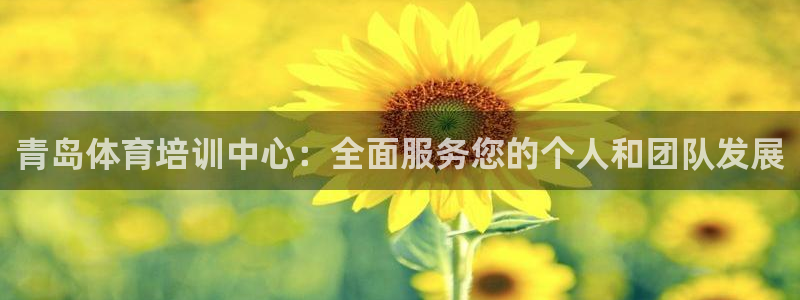 国际凯时ag优质运营商