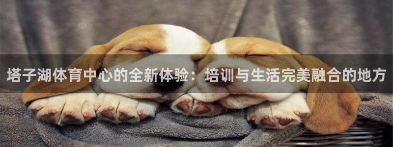 ZL尊龙凯时集团