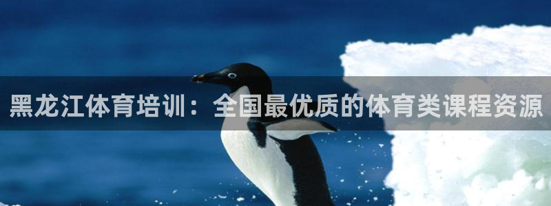 尊龙凯时发展历程