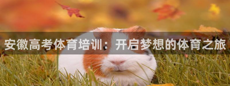 尊龙集团有限公司