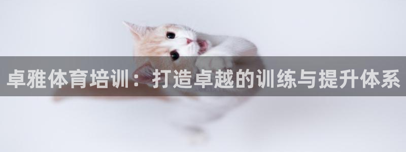 尊龙ag旗舰厅登录 租车app下载