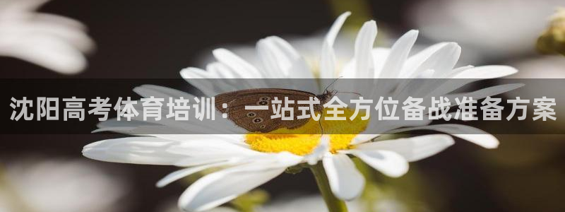 尊龙凯时的生产设备