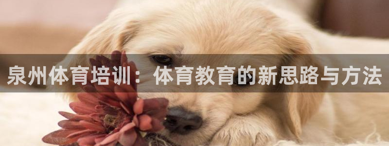 尊龙凯时 人生就是搏!