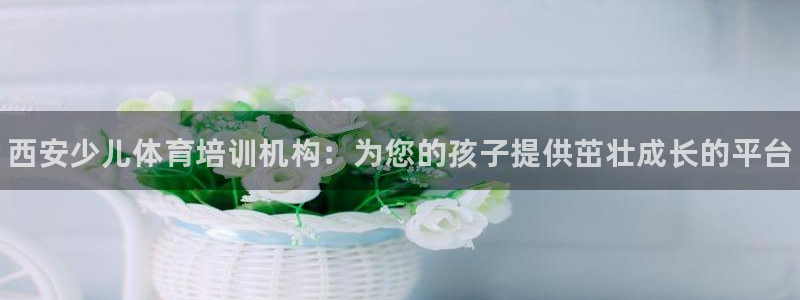 尊龙凯时几百万怎么下款：西安少儿体育培训机构：为您的孩子提供