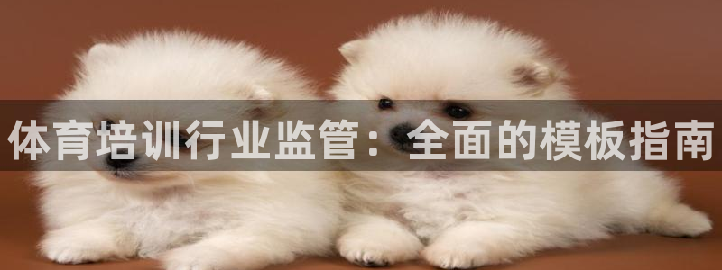 尊龙人生就是博首页入口：体育培训行业监管：全面的模板