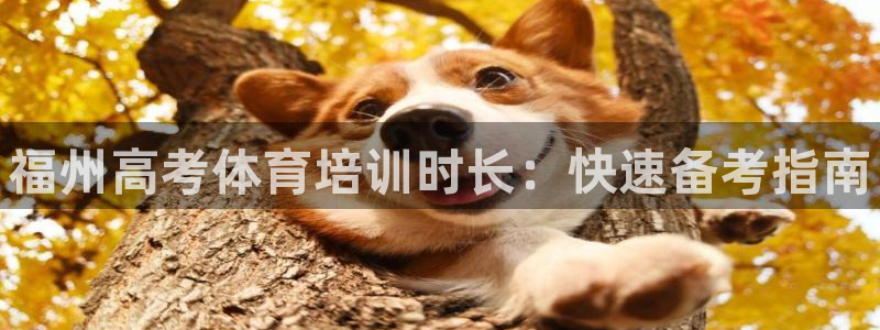 尊龙客服：福州高考体育培训时长：快速备考指南