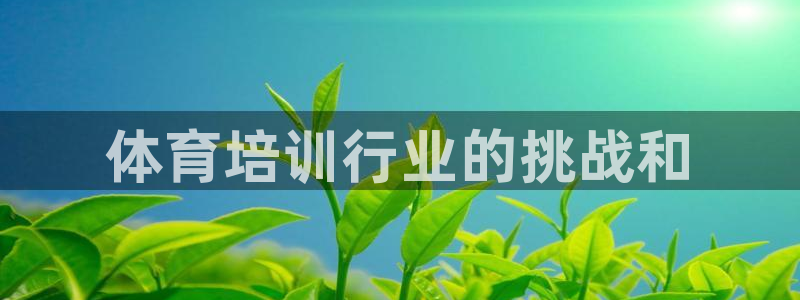 尊龙,人生就是博!登录国际：体育培训行业的挑战和