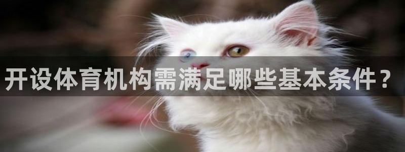 尊龙凯时下载官方正版：开设体育机构需满足哪些基本条件？