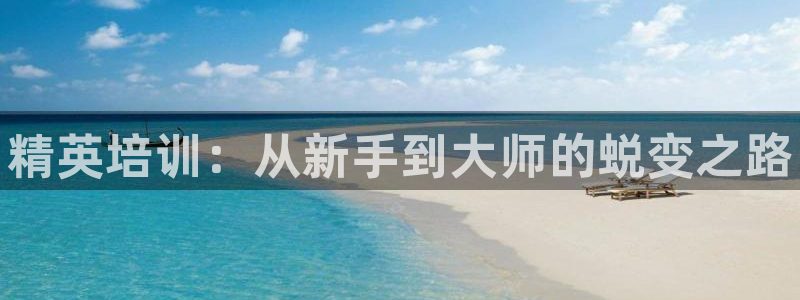 尊龙凯时用户名m：精英培训：从新手到大师的蜕变之路