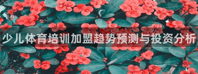 尊龙现金一下指导AG发财网：少儿体育培训加盟趋势预测