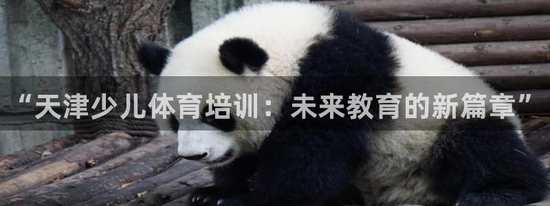 尊龙凯时不给提现怎么办：“天津少儿体育培训：未来教育的新篇章