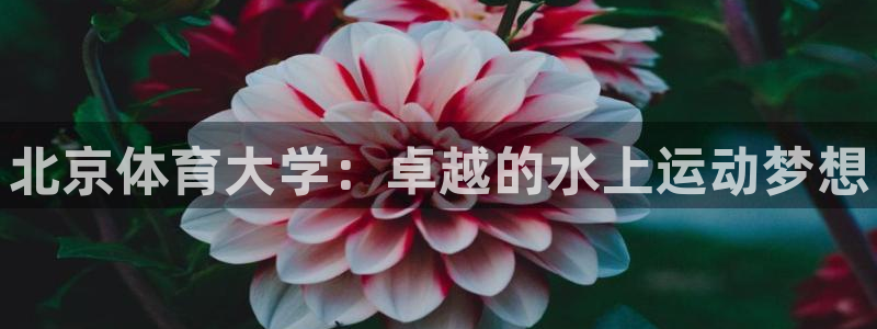 尊龙d88官网可靠送38元：北京体育大学：卓越的水上