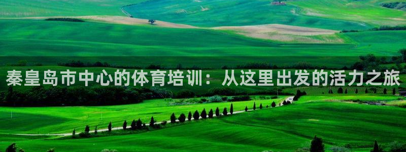 凯时k66登录：秦皇岛市中心的体育培训：从这里出发的