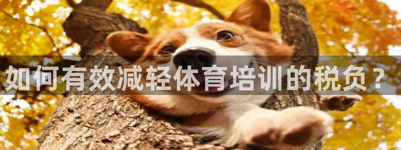 尊龙凯时百万奖池：如何有效减轻体育培训的税负？