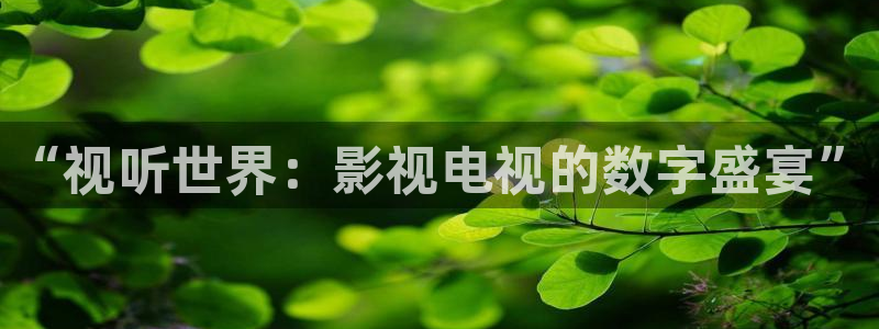 大骚b影院