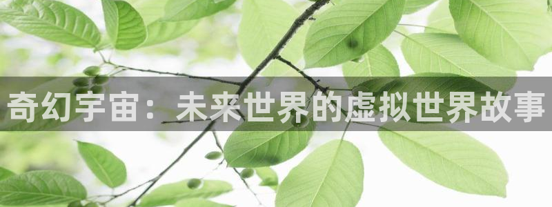 b影院网址