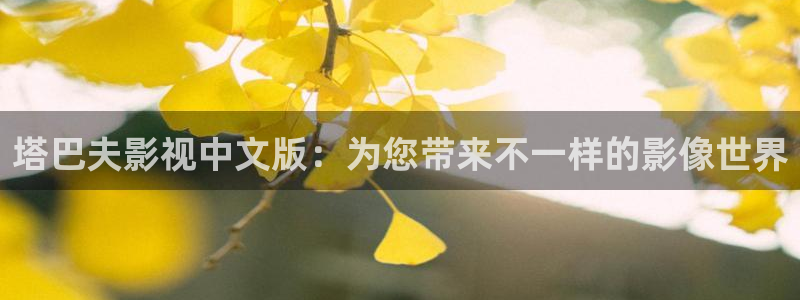 bbbb影院：塔巴夫影视中文版：为您带来不一样的影像世界