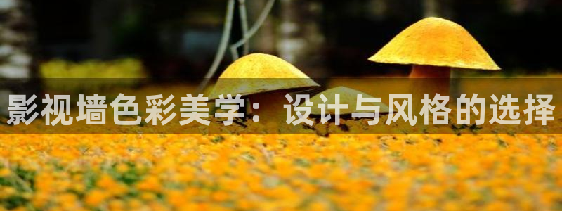 大色b影院：影视墙色彩美学：设计与风格的选择