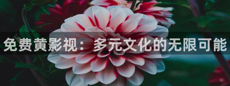 色b影院