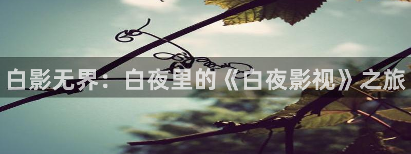 b影院全球最大的影库永久观看：白影无界：白夜里的《白夜影视》之旅