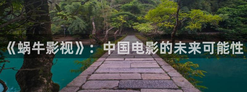 小b影院：《蜗牛影视》：中国电影的未来可能性