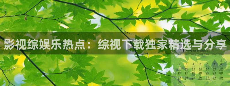 b影院全球最大的影库永久观看：影视综娱乐热点：综视下载独家精选与分享