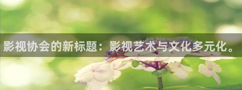 b影院全球最大的影视影院：影视协会的新标题：影视艺术与文化多元化。