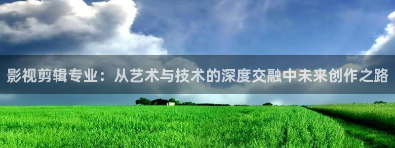 欧美插b影院